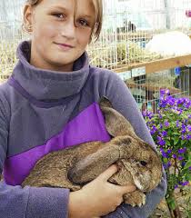 Ausgezeichnet: Jüngste Murger Züchterin ist die elfjährige Alicia Hesse; ...