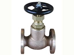 JIS F7301 Bronze 5K Globe Valve-Marine Valve and Fitting ...