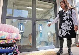 Brigada de la SSC albergará a otros 183 perros rescatados