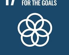 Εικόνα Partnerships for the Goals SDG icon