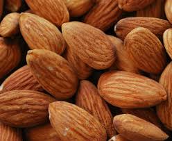 Image result for picture of almond nuts