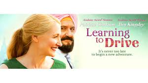 Image result for learning to drive movie