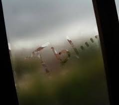 images?q=tbn:ANd9GcTqDgft6hJcXNwoE8LgHC7bJJgVnPGnBcT-tCMQhoTpyuI1ujCJQw