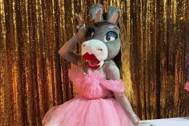 Burrita Burrona Se Despide