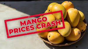 Centre-state mango relief: Karnataka farmers to be paid for price decline on 2.5 lakh tonnes; mango price