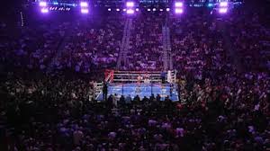 Caroline Dubois v Amelia Moore Odds: How to Bet on the Caroline Dubois v Amelia Moore Title Fight — Oddschecker