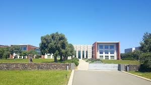 Tiscali Notizie chiude, l’appello dell’Ordine dei giornalisti: “Salvare gli archivi”