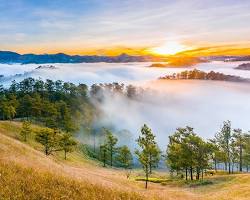 Hình ảnh về Đà Lạt với những đồi thông