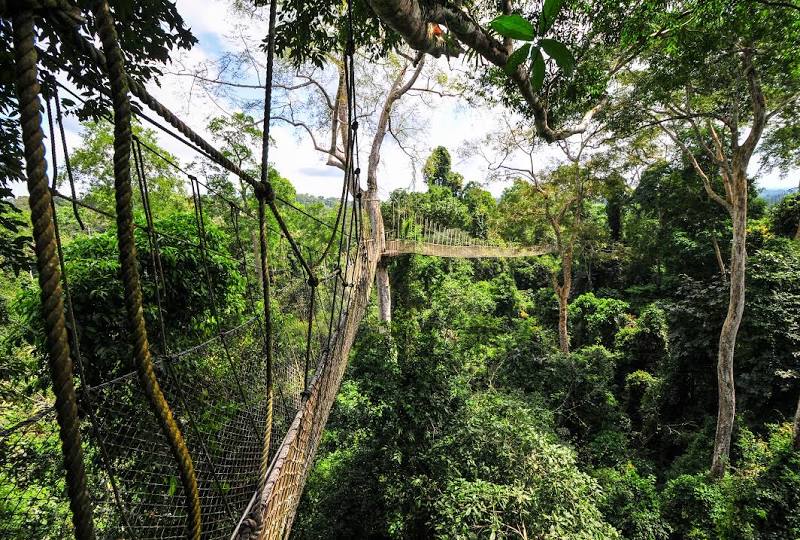 Kakum National Park