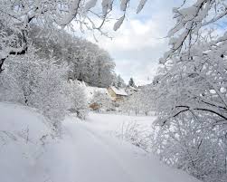 Image result for christmas snow