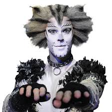 Image result for cats