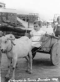 Resultado de imagem para SOB AS LENTES DE TORRES