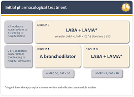 Title: Optimizing Inhaled Corticosteroid Therapy for Effective COPD Management | npj Primary Care Respiratory Medicine - 1