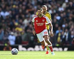 Sunderland and Brighton players competing in a Premier League match