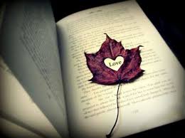 Image result for ‫عشق‬&lrm;