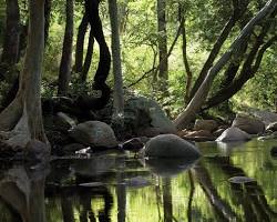 Image of Kanthalloor Kerala Chinnar Wildlife Sanctuary
