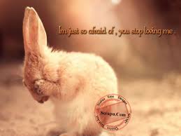 Image result for whatsapp dp cartoon