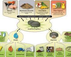 Anaerobic digestion