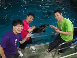 Yahoo!ニュース - News update