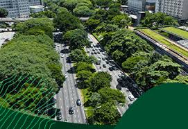 Prefeitura de São Paulo - News update