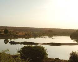 Image of Parc National du W du Niger, Mali