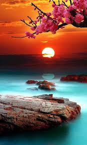   Sunset 夕陽