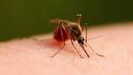  Protecting your family as tick and mosquito related illnesses increase