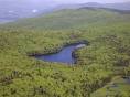 Green Mountain National Forest, Vermont 