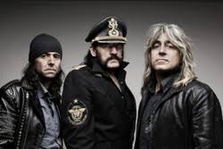 Trend Google: phil campbell