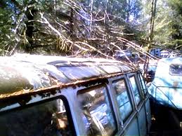 Resultado de imagen para Bus vw window
