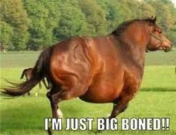 Image result for horses eaten