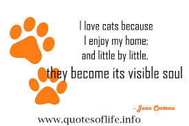 Quotes I Love My Cat. QuotesGram via Relatably.com