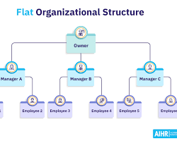 Image of flat organizational chart, showing the CEO at the top and various teams or departments connected horizontally