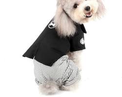 dog wearing a kimono or hakamaの画像