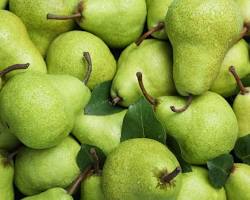 Pears