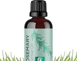 Image of Rosemary essential oil