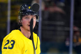 Who's Hot And Cold In The NHL: Raymond, Armia And More Impressed At The Olympics