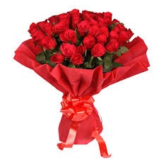 Image result for rose day