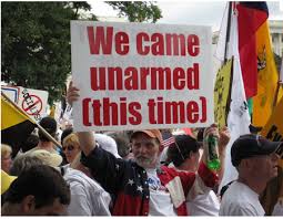 Image result for tea party politics