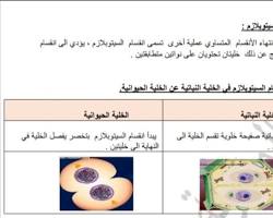 Image of السيتوبلازم في الخلية النباتية