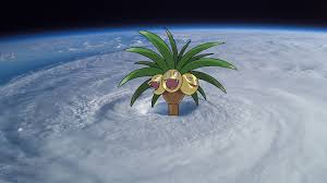 Image result for alola exeggutor meme