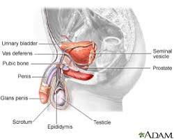 Image of Enlarged prostate