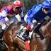 Holler flies flag for Godolphin's southern force with Australia Stakes ...