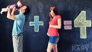 Image result for pregnancy of twins