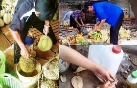 Image result for sản xuất thực phẩm bẩn