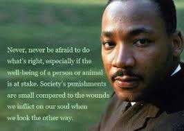 Quote of the Day: Martin Luther King, Again | James Preller&#39;s Blog via Relatably.com