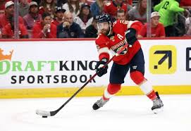 Red Wings Offseason: Free Agents, Potential Moves, and Players to Avoid in 2025