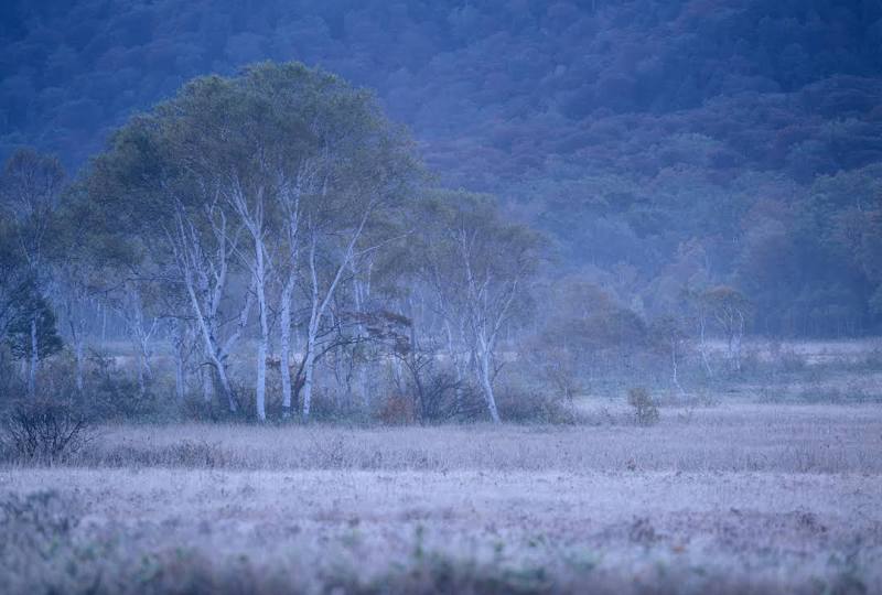 Oze National Park