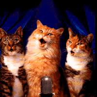 Image result for cats singing christmas carols