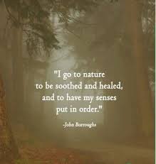 John Burroughs Quote - Nature | Inspirational Nature Quotes ... via Relatably.com